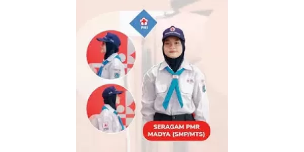 PMR